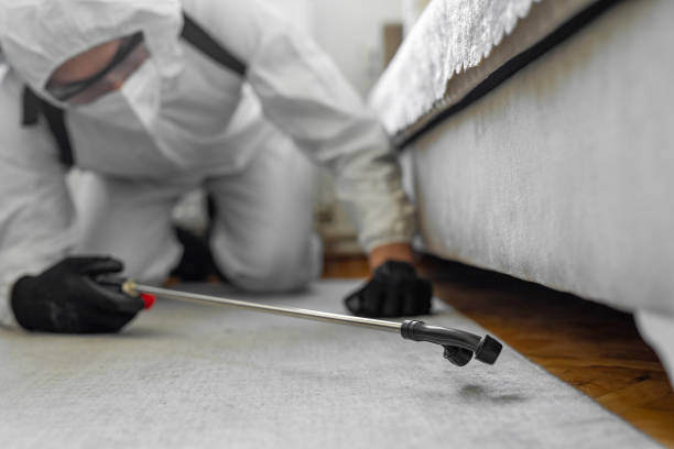 Professional Cockroach Control technician working in Haleyville, AL